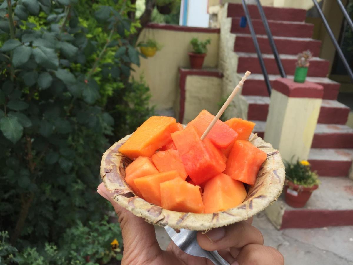 Katyuri Kings Divine Stay- Babaji'S Cave Dwarahat Экстерьер фото