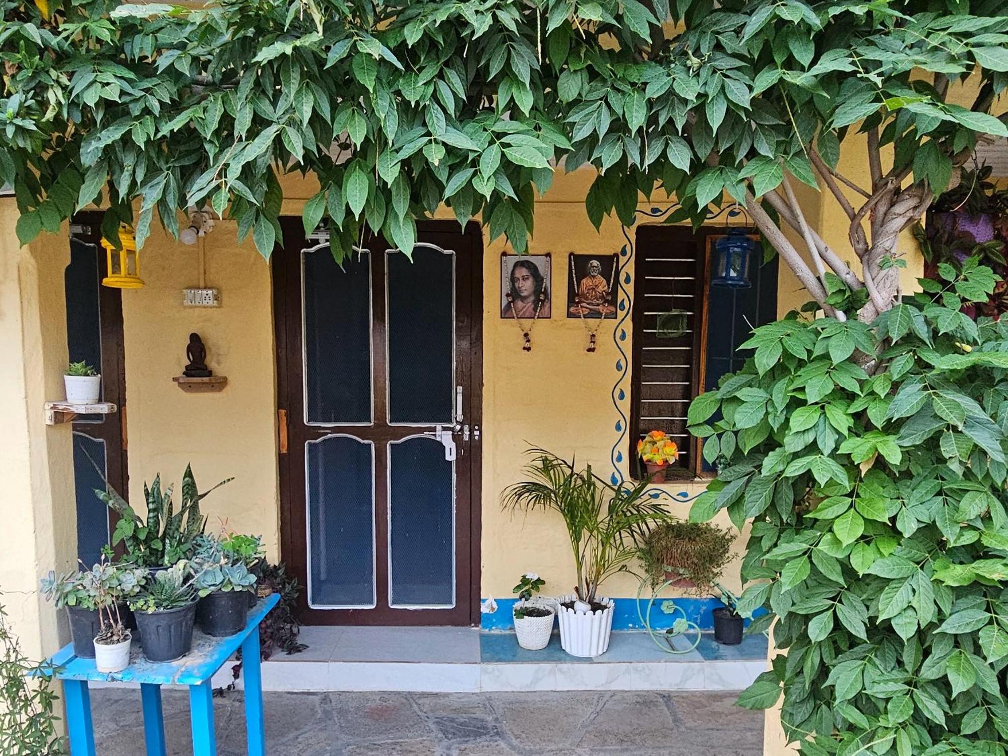 Katyuri Kings Divine Stay- Babaji'S Cave Dwarahat Номер фото